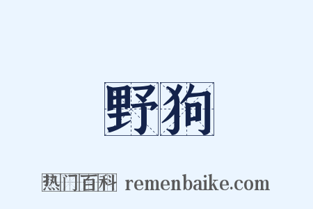 野狗是什么意思的图片